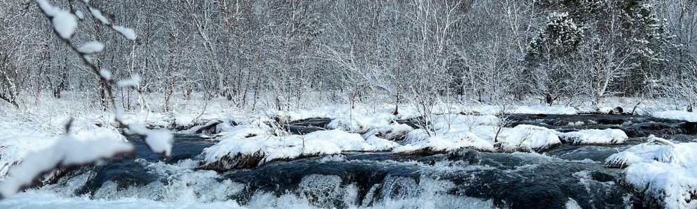 Interdum aenean Interdum aenean